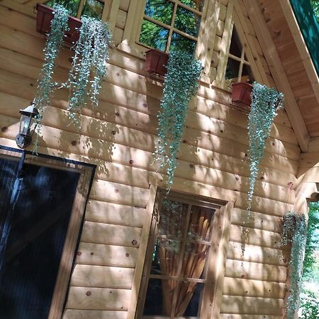Brvnara Fairy Tale Villa Cetinje Eksteriør bilde