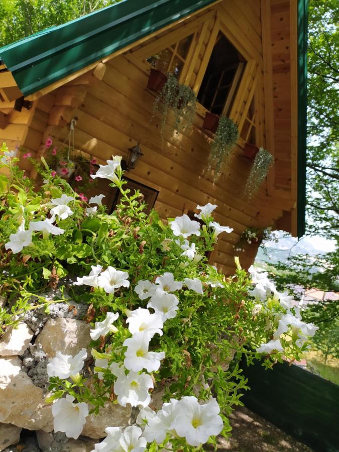 Brvnara Fairy Tale Villa Cetinje Eksteriør bilde