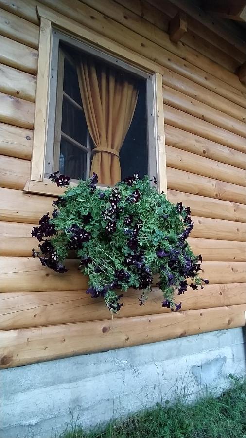 Brvnara Fairy Tale Villa Cetinje Eksteriør bilde